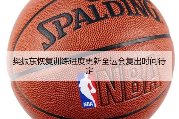 樊振东恢复训练进度更新全运会复出时间待定